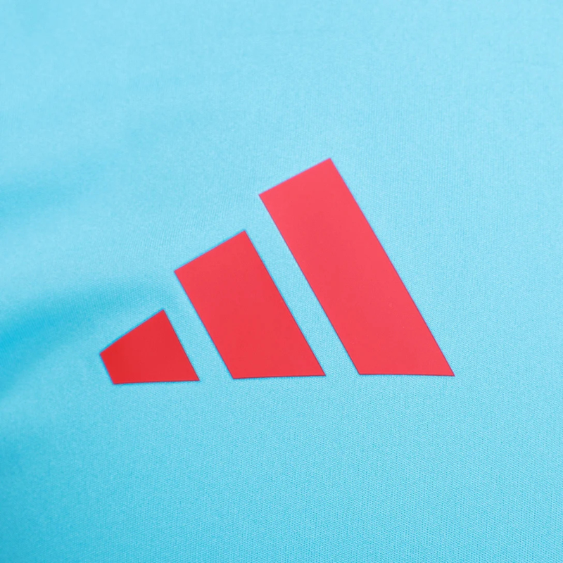 Camisa Flamengo 25/26 - Treino Adidas